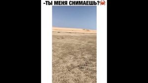 ПРИКОЛ - ты меня снимаешь