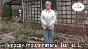 ОБРАБАТЫВАЕМ СМОРОДИНУ ОТ БОЛЕЗНЕЙ И ВРЕДИТЕЛЕЙ ВЕСНОЙ!
