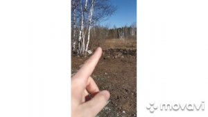 фундамент лента на болоте