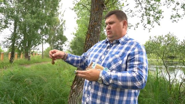 Unboxing №2 по заказу из интернет-магазина fmagazin.ru смотреть онлайн