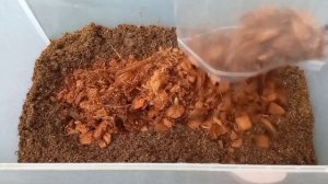 Рецепт ИДЕАЛЬНОГО грунта для ароидных и не только 💚 Супер рыхлый и воздушный грунт без заливов