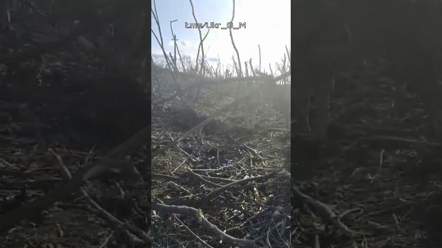 Позиции ВСУ после работы российской артиллерии. смотреть онлайн