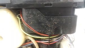 Тараканы в кофемашина Jura Impressa Z7