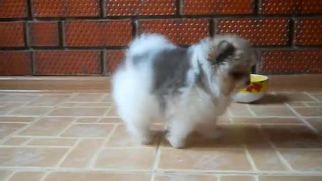 DSCN1182 смотреть онлайн