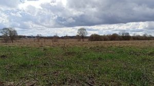 Хомус Рудых и весеннее поле