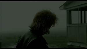 Том на ферме