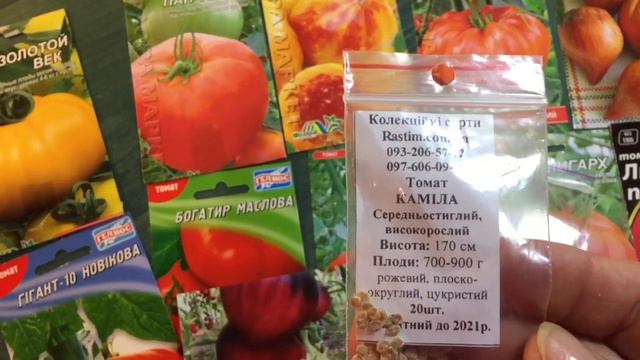 Семена крупных томатов с женскими именами.