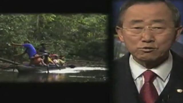 UN summit aims to shape global strategy to save world's biodiversity смотреть онлайн