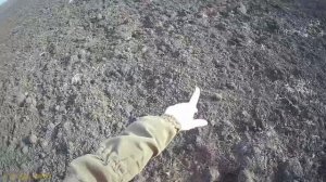 Удачное Открытие года 01.01.2023 охота на зайца Краснодарский край