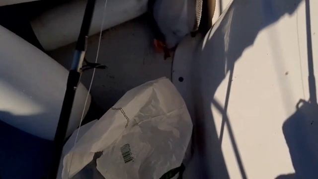 Рыбалка в Норвегии! Скат на асфальте? Что мне удалось поймать? смотреть онлайн