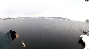 HEARTY RISE Rock N Force RF 692 XUL