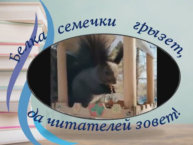 Библиотека Дальнереченска