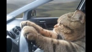 Строим КАРАКАТ. Своими руками. За 70т.р.!!!!!