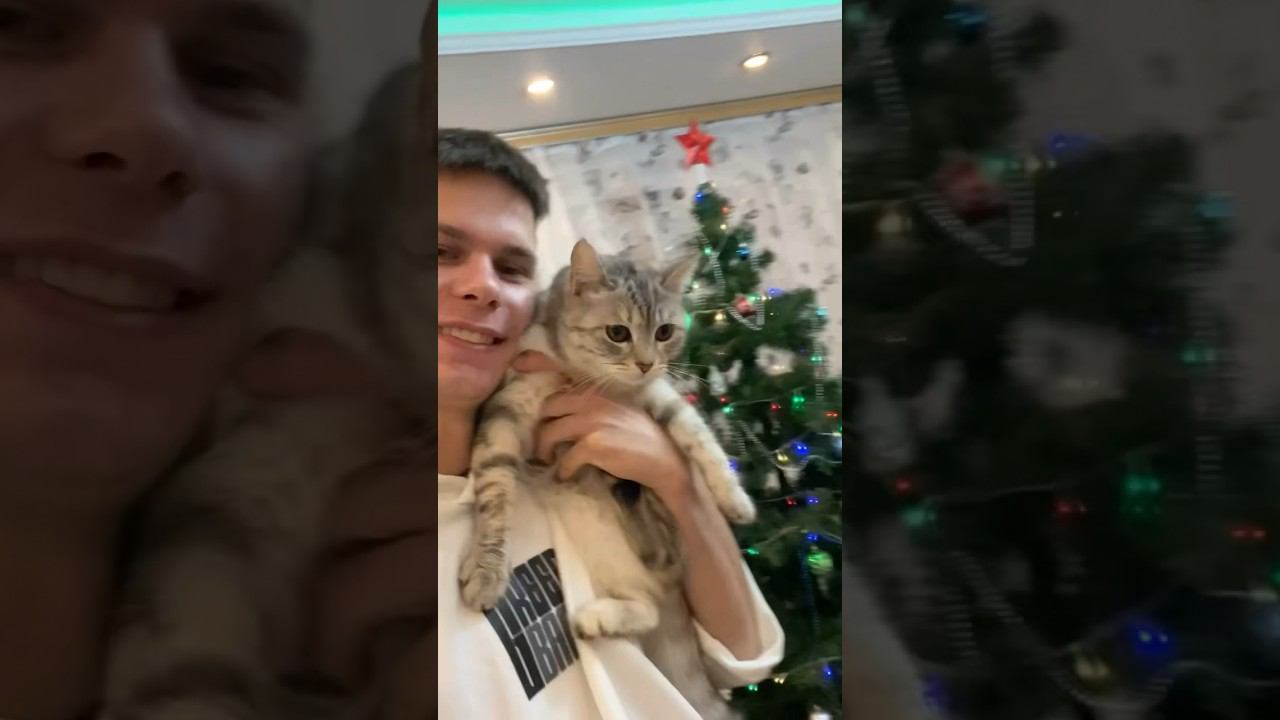 С Новым Годом ❤️ смотреть онлайн