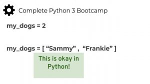 numbers and variables