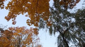 Осенняя Жировичская обитель