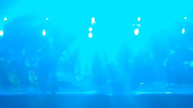 Олег Скрипка щедрик смотреть онлайн