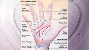 Хиромантия. Гадание по руке