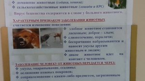 Бешенство,опасное заболевание.