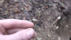 ПОИСК СТАРИННЫХ МОНЕТ НАХОДКИ С МЕТАЛЛОИСКАТЕЛЕМ КОП МОНЕТ В ЛЕСУ 2020