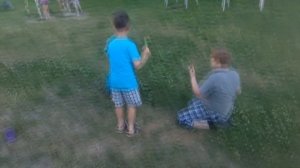 БРАЧНЫЕ ИГРЫ ЖИВОТНЫХ! ВОТ ТАК ДА!