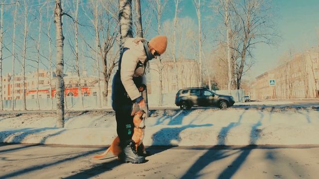Дрессировка и трюки с мини бультерьером. Минибуль Данчик.