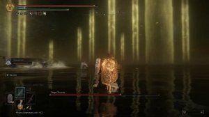 Тестим лучший щит на ФИНАЛЬНОМ БОССЕ - Элден Ринг