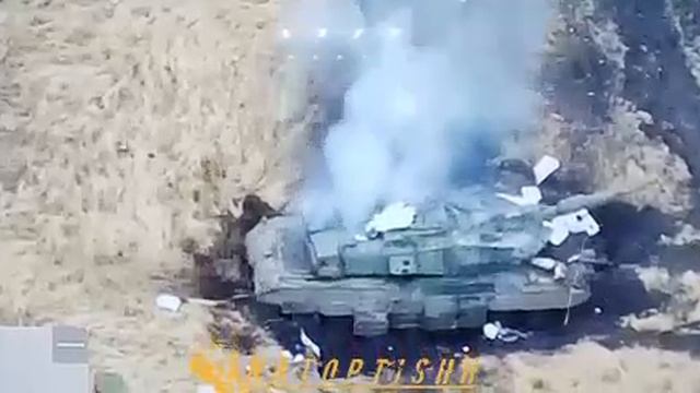Уничтожение двух хвалёных леопардов рядом с н.п. Терны на Купянском направлении