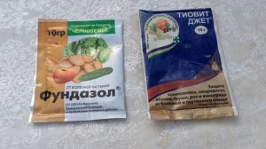 89.Клубника.Пятнистость клубники. Уход после сбора урожая. Часть 2