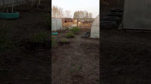 Как я хотел устроится на работу водителем на молокозавод.