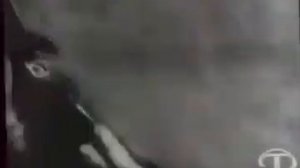 Марьям Дандамаева-лакская