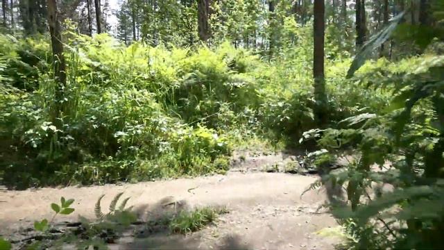 Горноалтайские влоги. День первый. Подвесной мост, Камышлинский водопад.