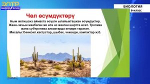 6-класс |  Биология | Жаратылыш адам жана  өсүмдүктөр дүйнөсү.  Өсүмдүктөрдү окуп үйрөнүүнүн маанис