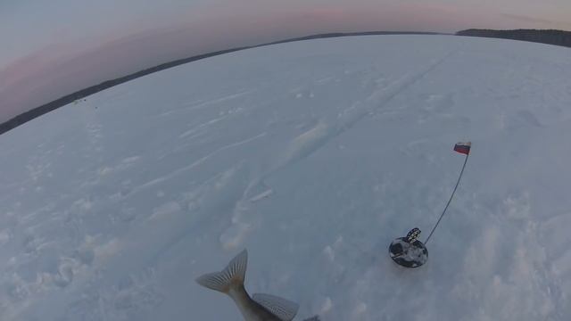 ловля судака на жерлицы смотреть онлайн