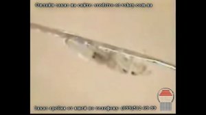 КАК появляется из гниды вша HOW IS NIT A LOUSE