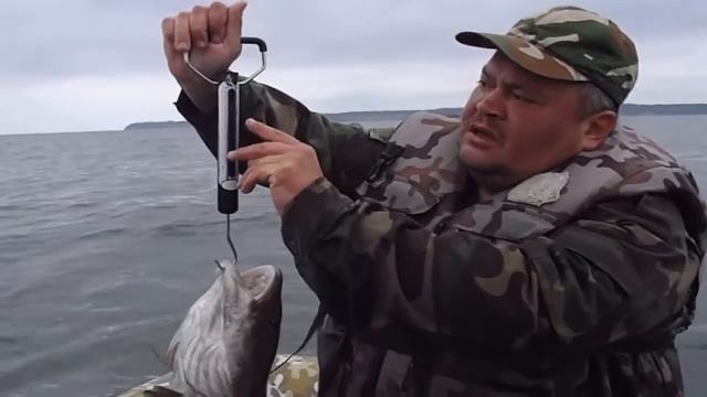 Буй Билайн Трофейная треска Рыбалка на Балтийском море