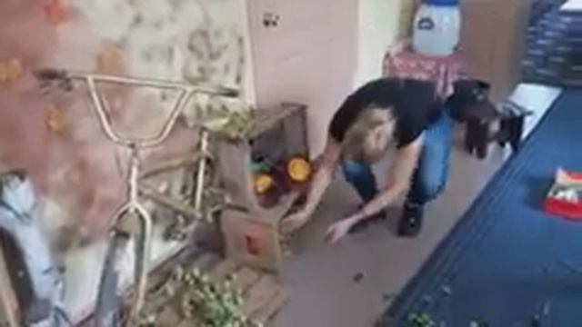 Подготовка осенней фотозоны смотреть онлайн