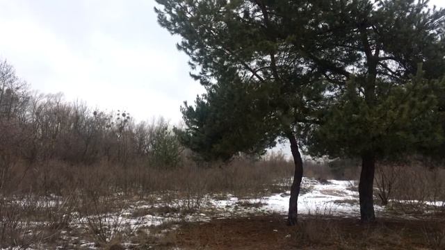 Киев. Скайрим. Труханов остров ⊗ Kiev. Skyrim. Trukhanov island