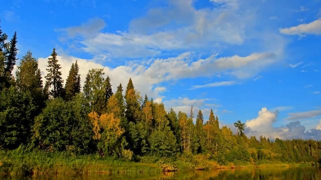 релакс красивая музыка таинственный лес смотреть онлайн