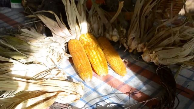 ДЕКОРАТИВНЫЙ ВЕНОК НА ДВЕРЬ смотреть онлайн