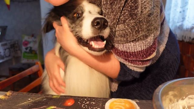 Вещий сон. Кукинг с Клайди. Как приготовить оладьи без яиц. смотреть онлайн