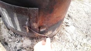 Пойло для телят - как варить зерно и где?