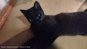 13 января 2024 г.