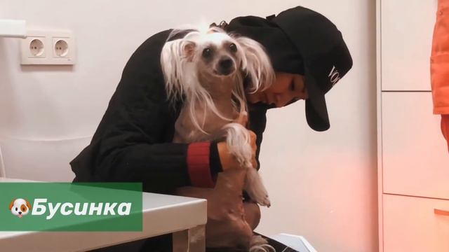 Финальный чек-ап в акции с ЦВМ смотреть онлайн