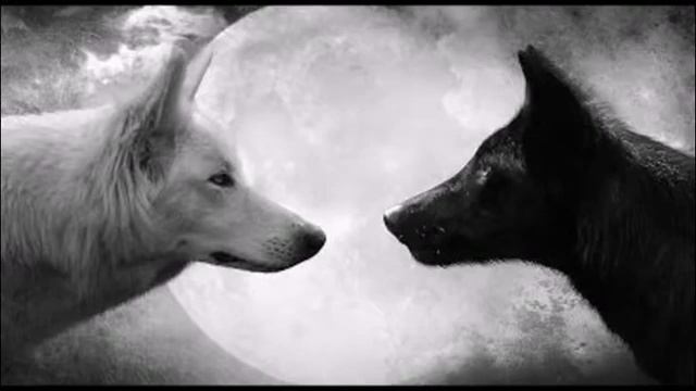 Притча Два Волка смотреть онлайн