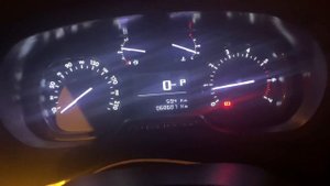 Пежо Травеллер, опять загорелся чек