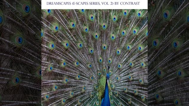 I Dream of Java смотреть онлайн