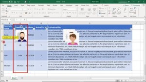 How to Sort Pictures in Excel & Filter Pictures in Excel - Tutorial
