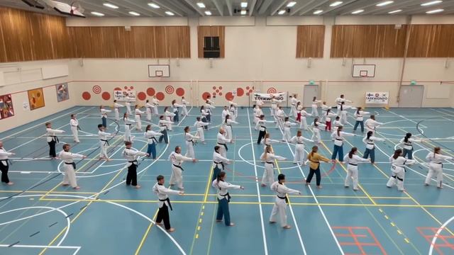 POOMSAE TAEGUK 1 (Il Jang) with Over 60 Taekwondo Practitioners | Lohja, Finland смотреть онлайн