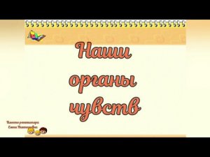 Наши органы чувств